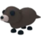 Otter