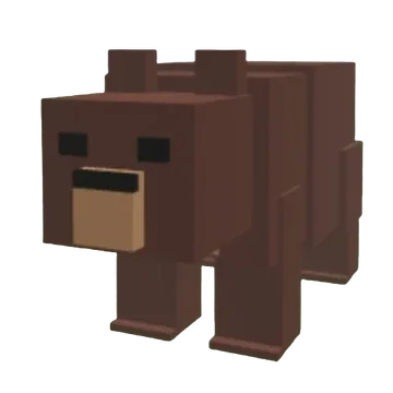 Bear