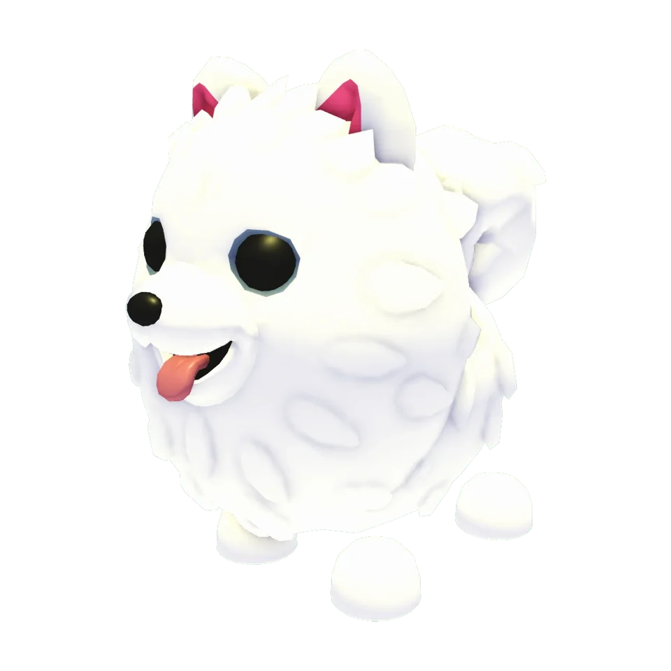 Samoyed