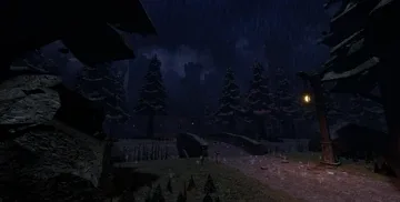 The Woods
