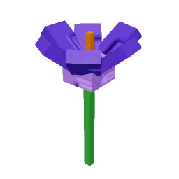 Crocus