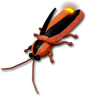 Loopy Five Firefly