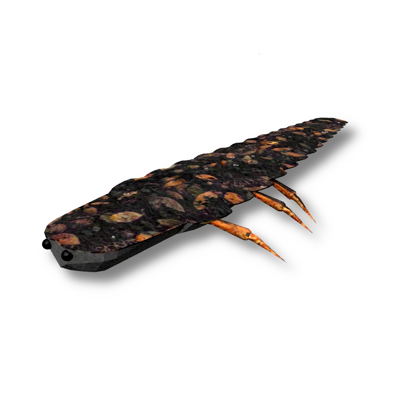 Glowworm